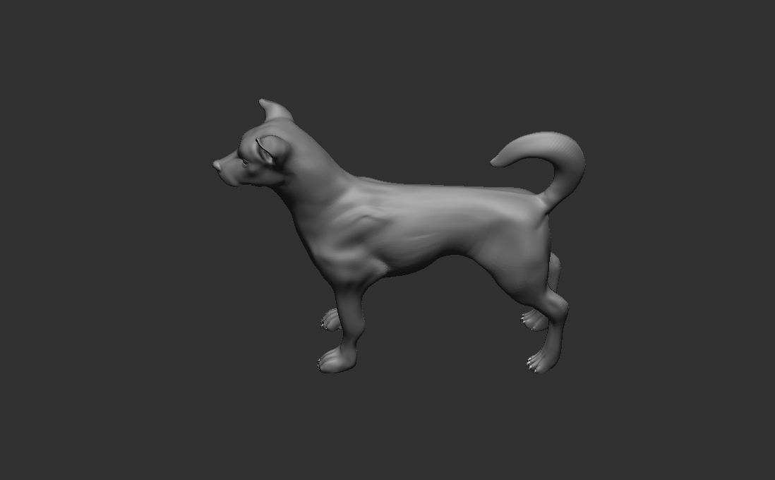 Dog Pack 3D Model Collection_10