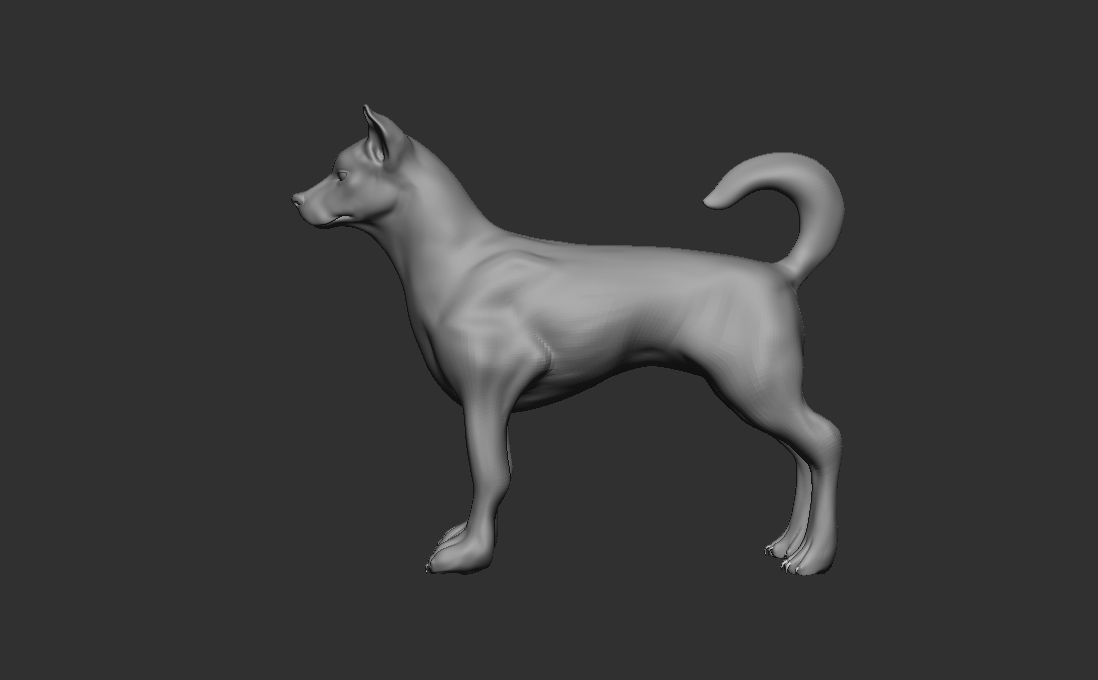 Dog Pack 3D Model Collection_6