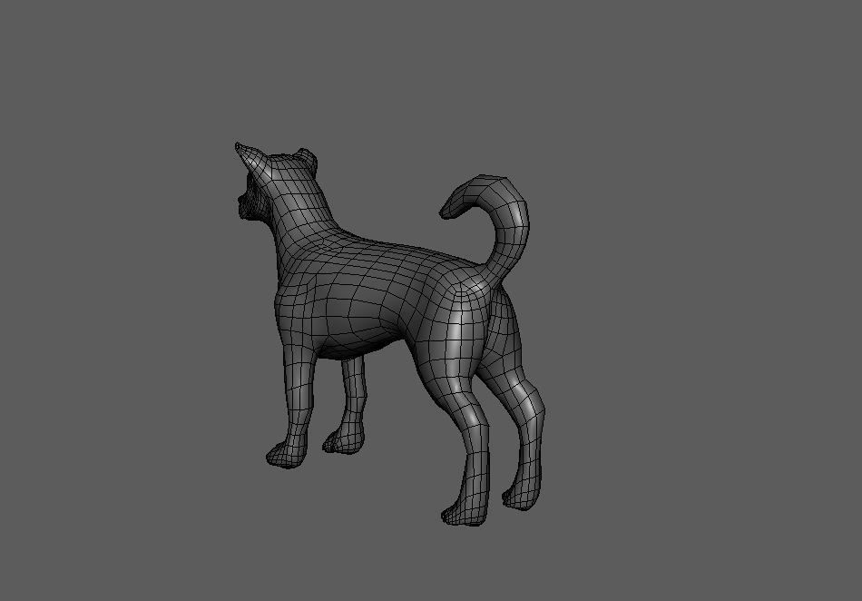 Dog Pack 3D Model Collection_9
