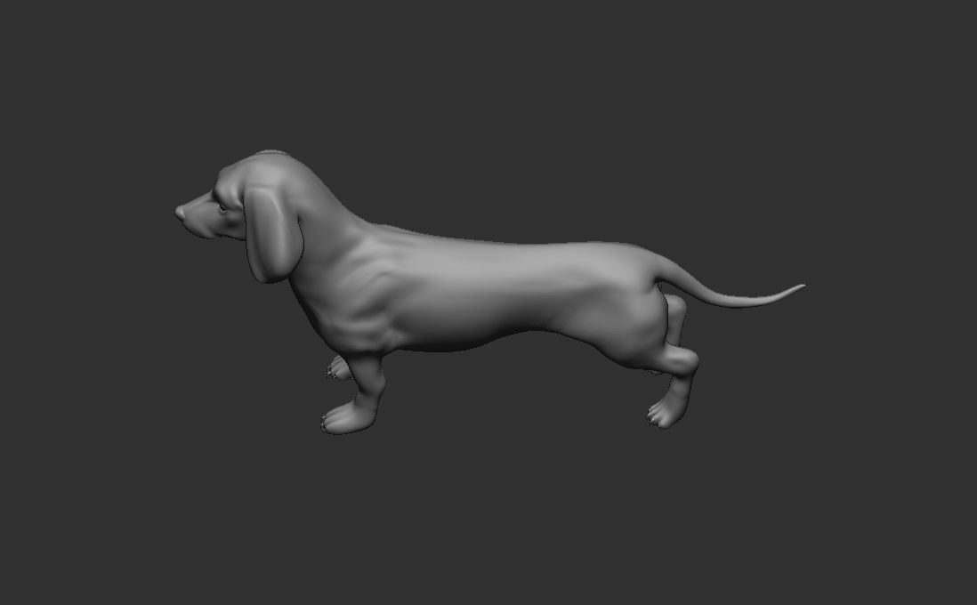 Dog Pack 3D Model Collection_18