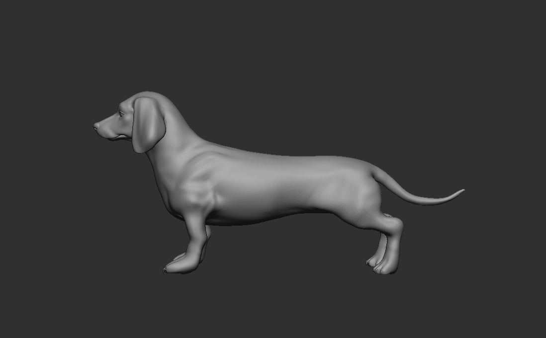 Dog Pack 3D Model Collection_12