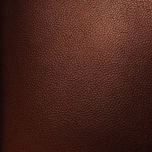 Textures Leather Texture