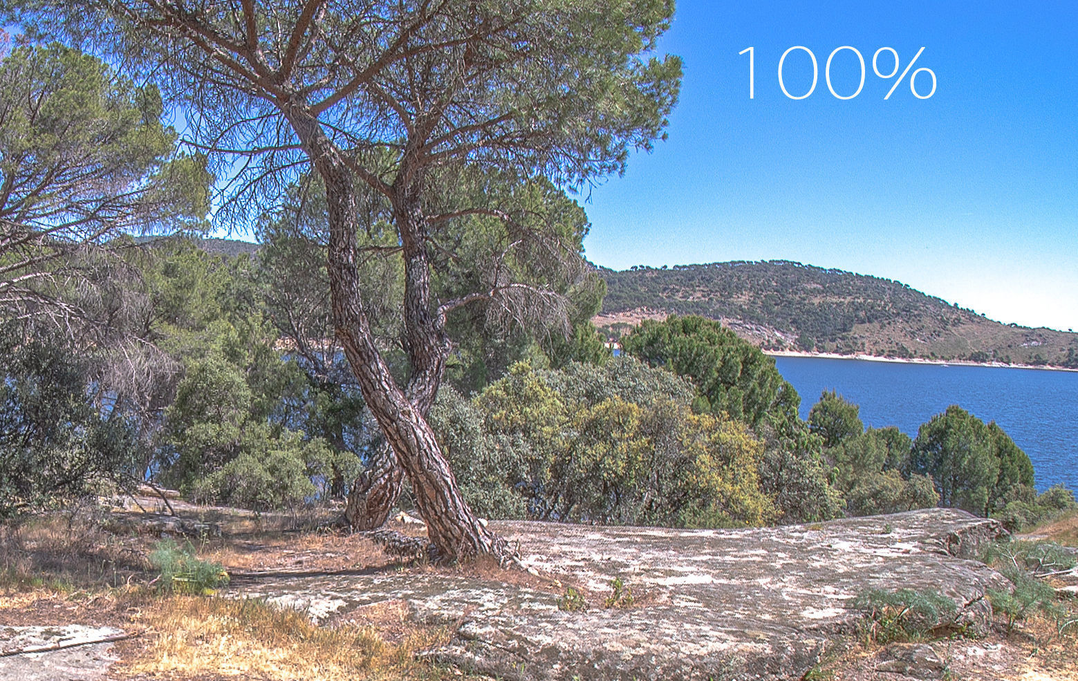 HDR 042 Low-poly 3D model_2