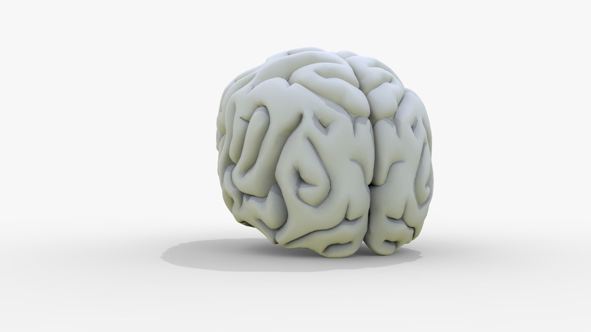 Gory Human Brain Damaged Low-poly 3D model_16