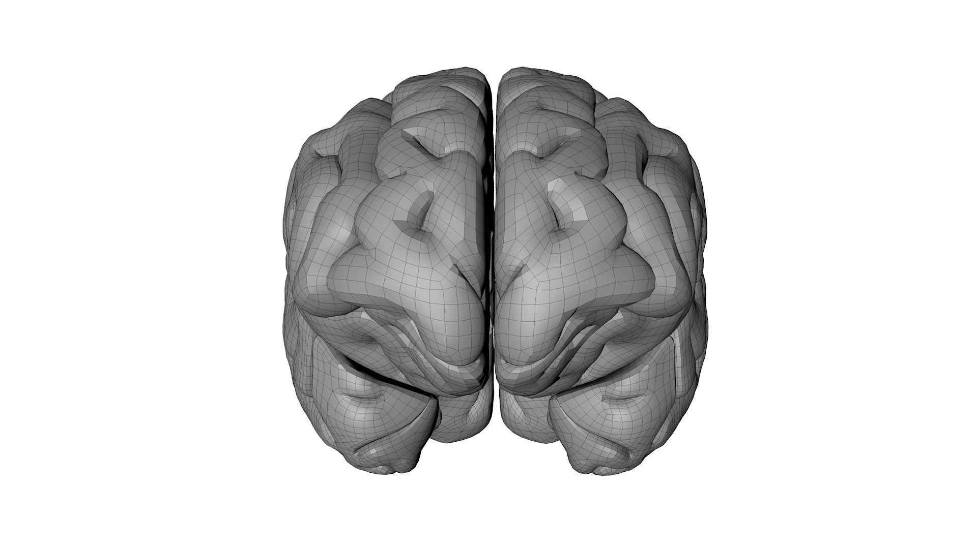 Gory Human Brain Damaged Low-poly 3D model_10