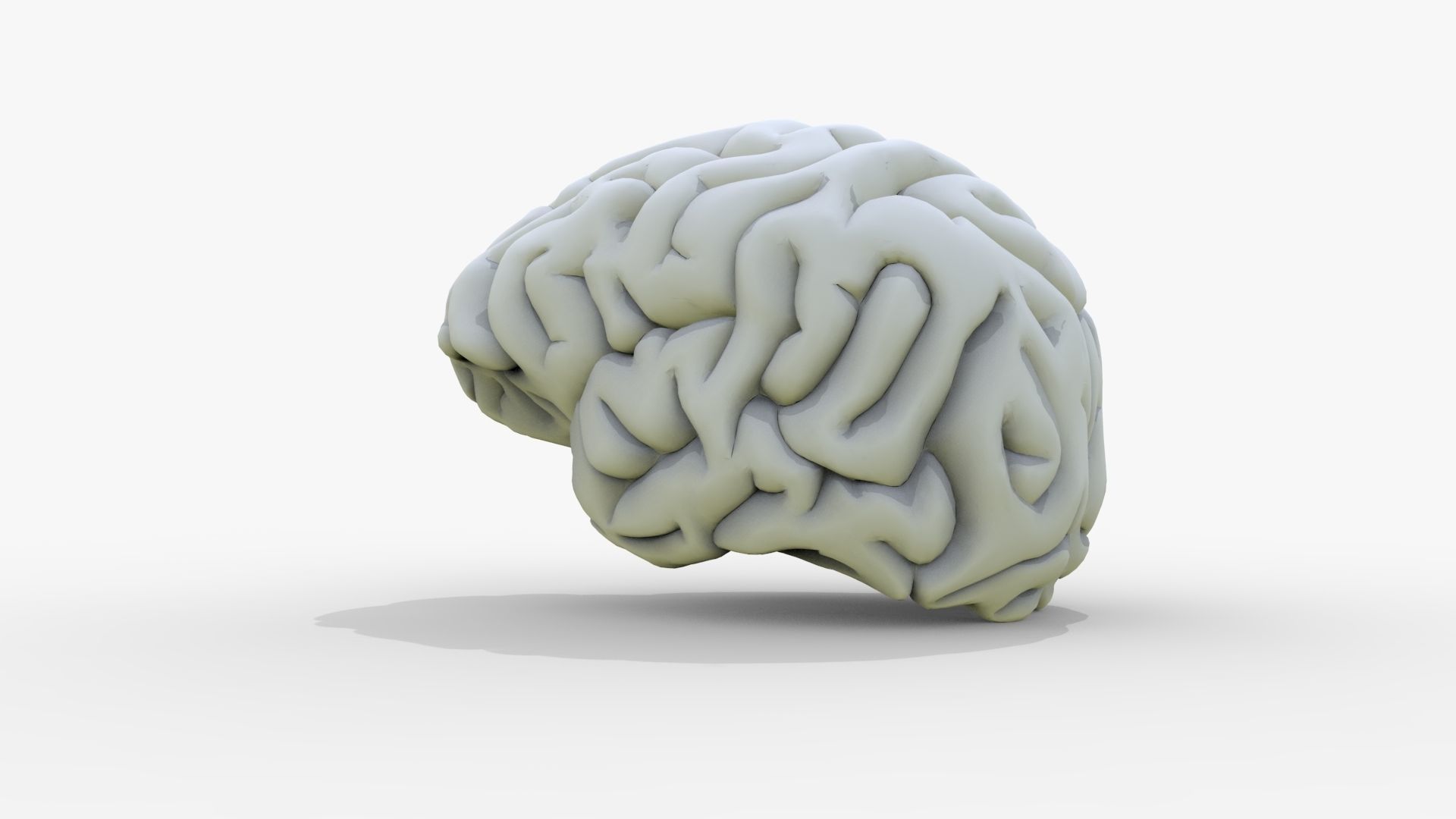 Gory Human Brain Damaged Low-poly 3D model_12
