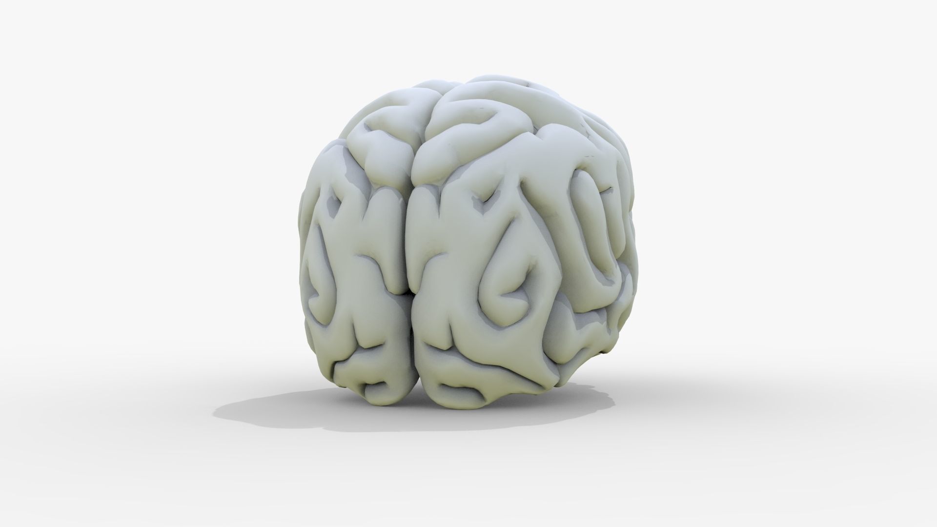 Gory Human Brain Damaged Low-poly 3D model_15