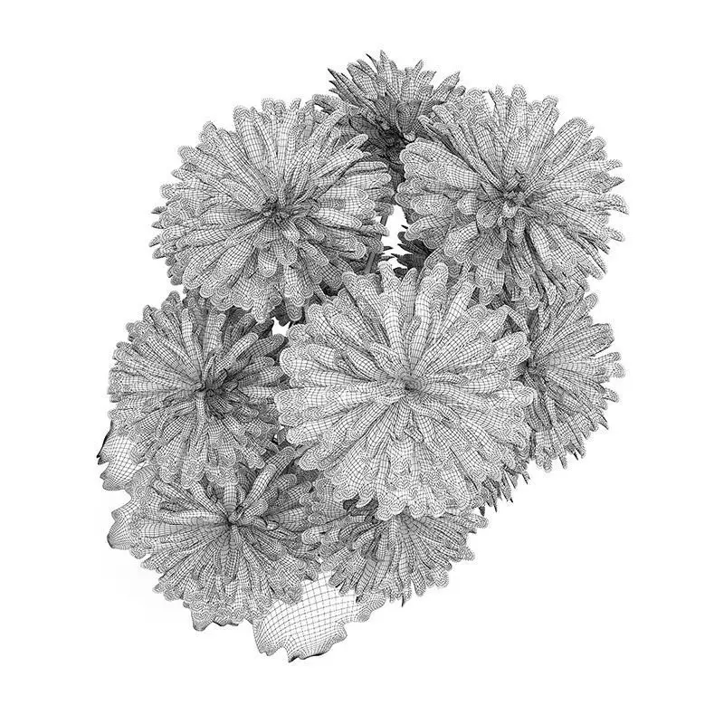 Pink Flowers in White Pot 3D model