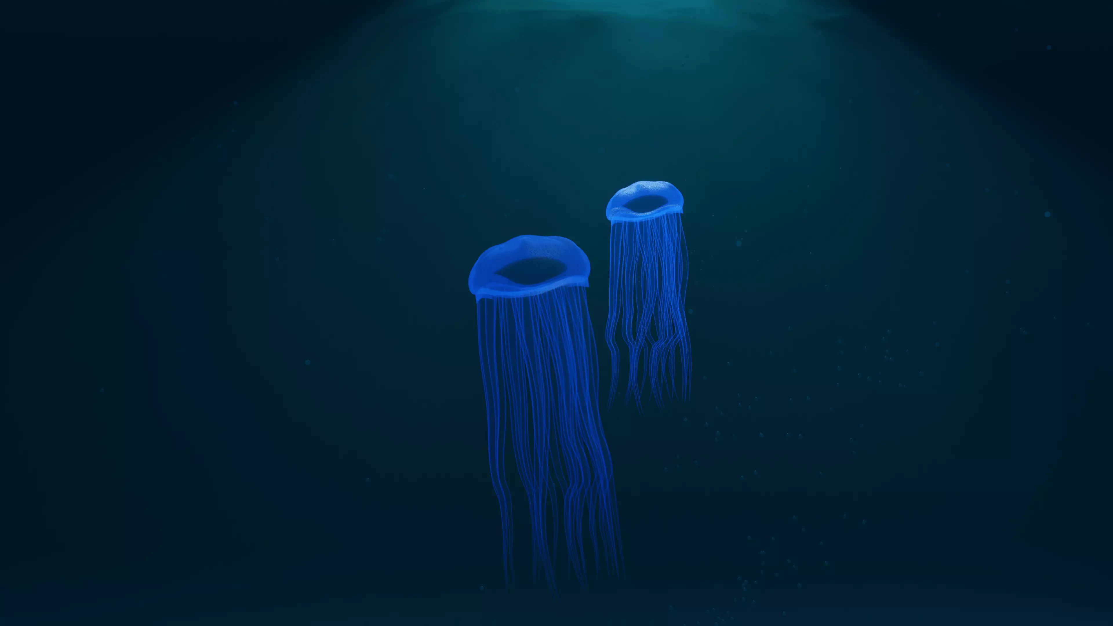 Jellyfish Low-poly 3D model