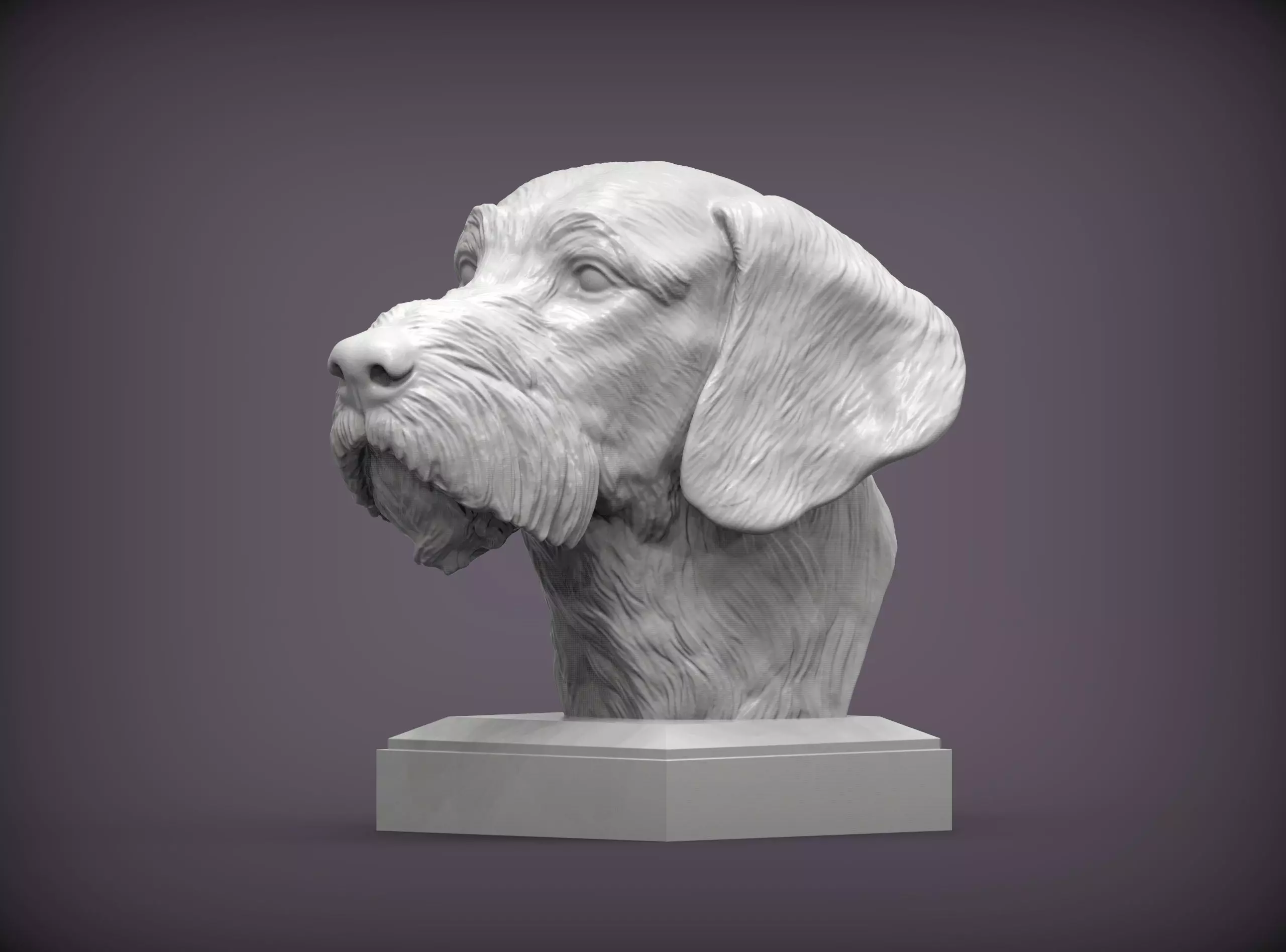 German wirehaired pointers bust 3D print model