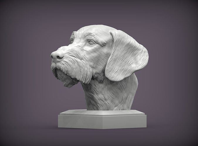 German wirehaired pointers bust 3D print model