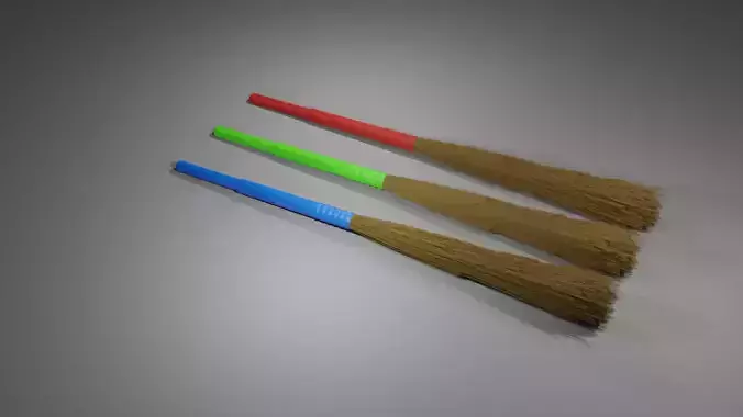 Indian Broom Stick