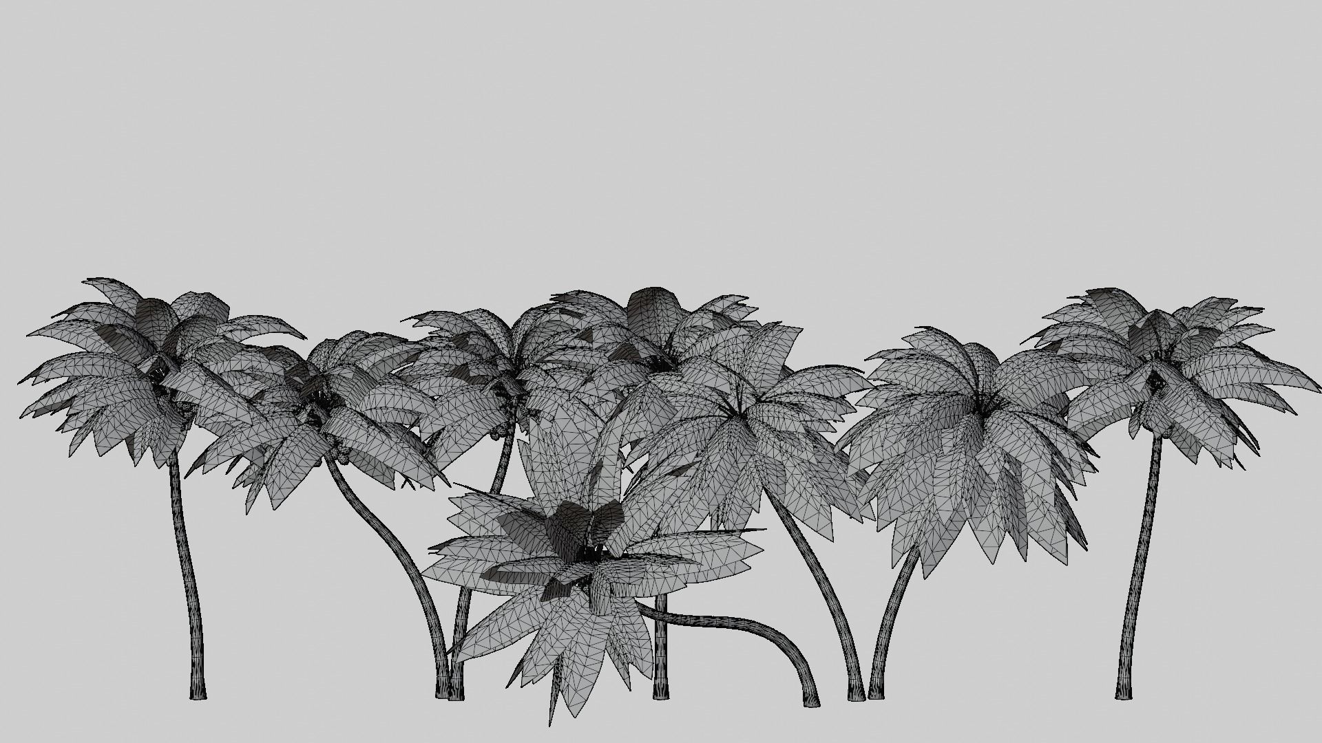 Coconut Palms Collection _2