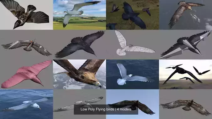Low Poly Flying birds 3D Model Collection