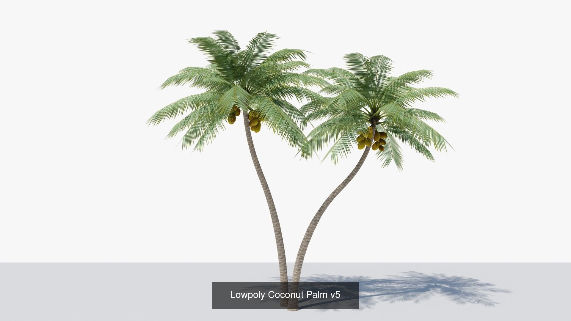 Lowpoly Coconut Palms Collection _11