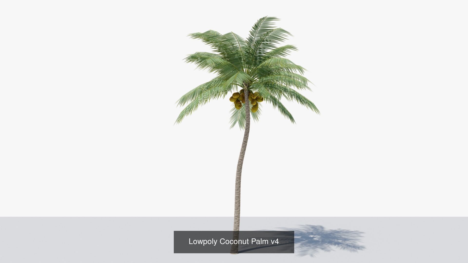 Lowpoly Coconut Palms Collection _9