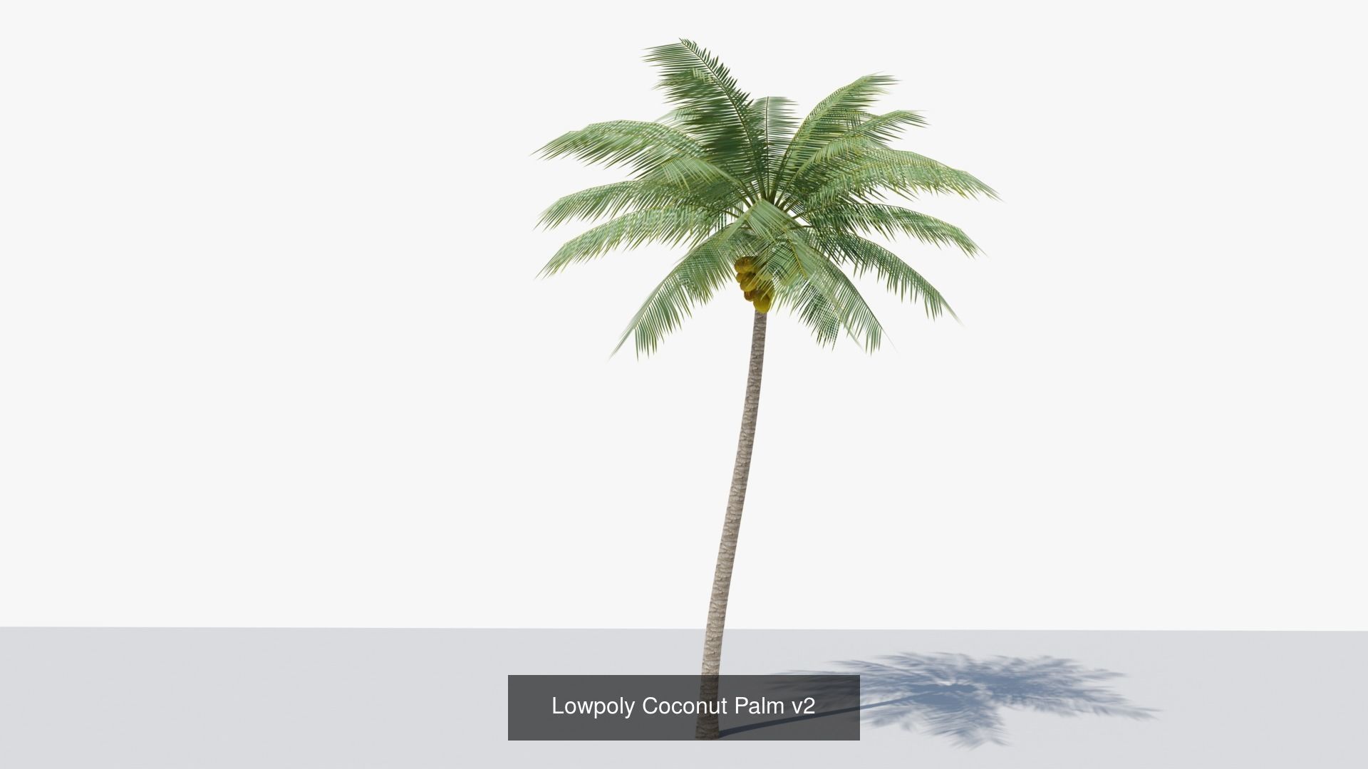 Lowpoly Coconut Palms Collection _5