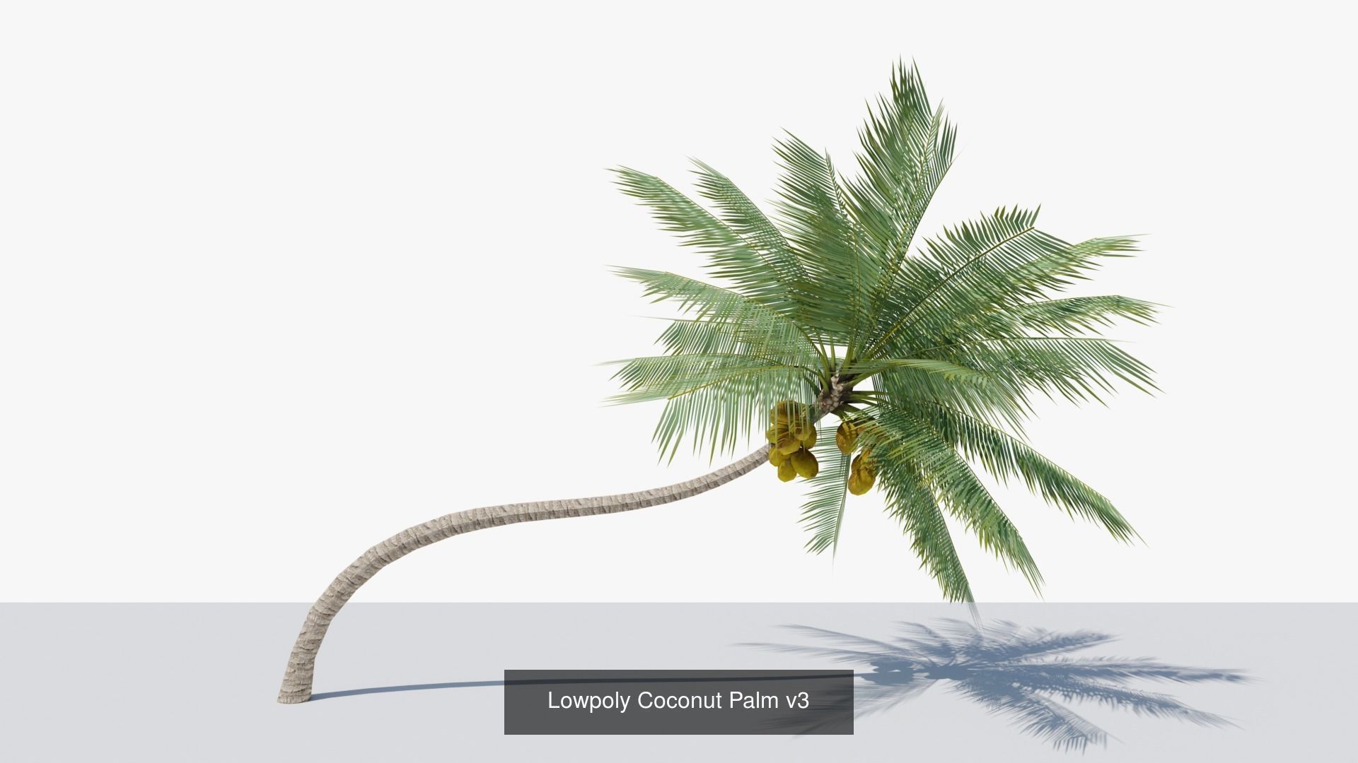 Lowpoly Coconut Palms Collection _7