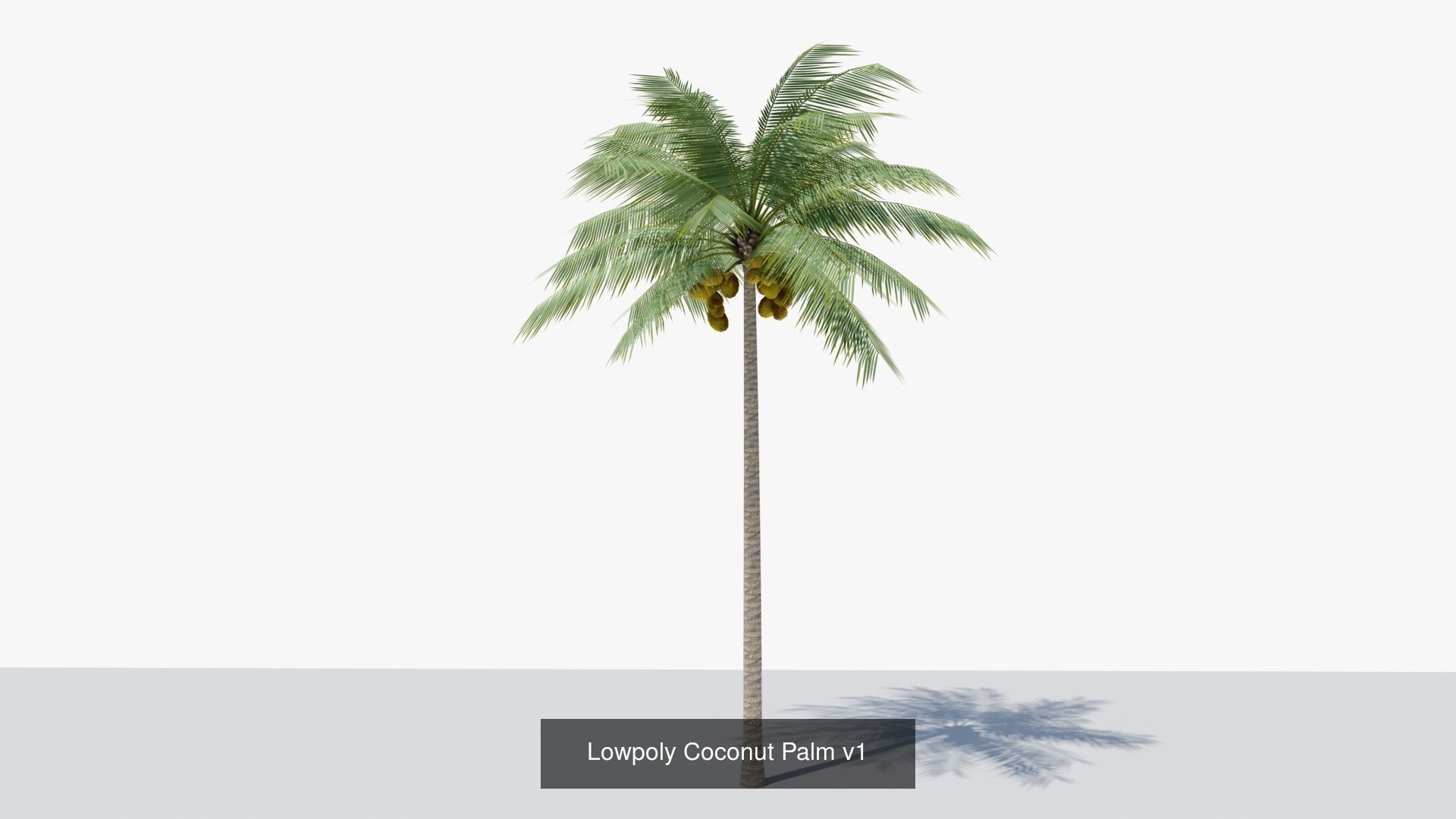 Lowpoly Coconut Palms Collection _3