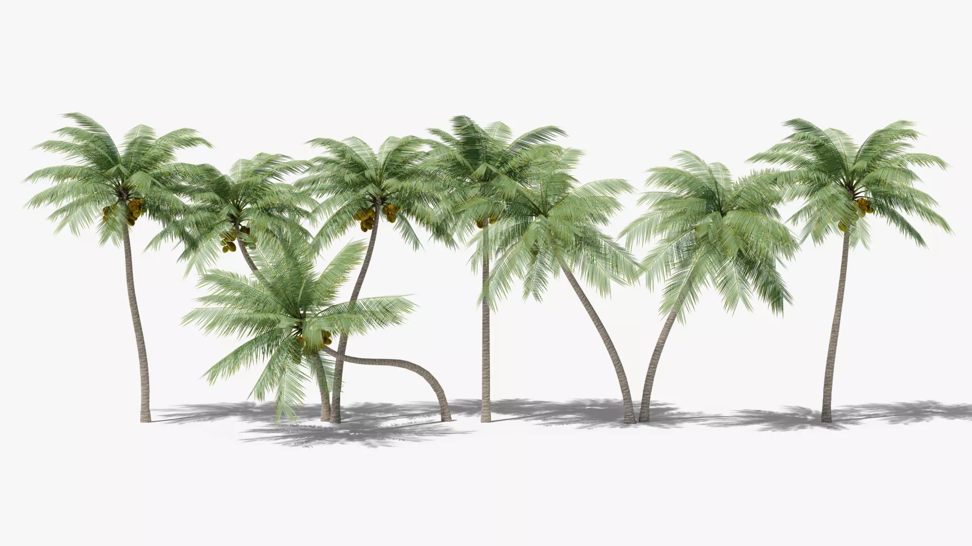 Lowpoly Coconut Palms Collection _0