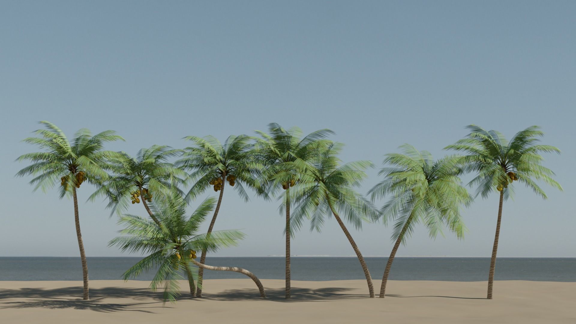 Lowpoly Coconut Palms Collection _1