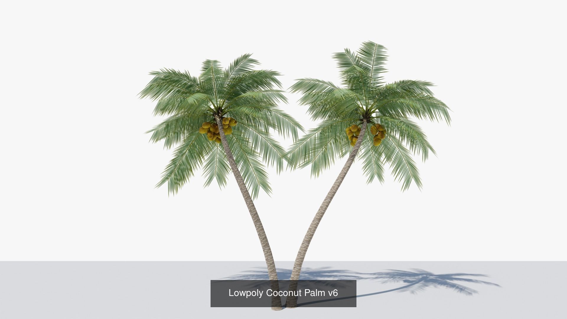Lowpoly Coconut Palms Collection _13