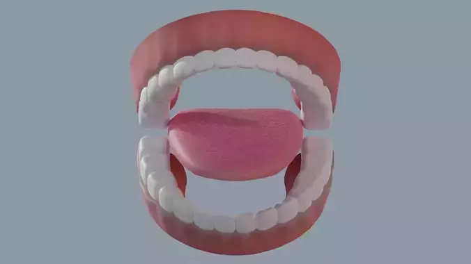 Cartoon Tongue and Teeth Set