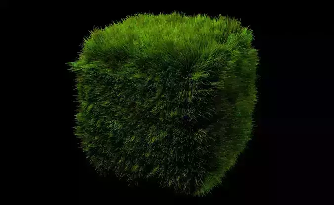 3D grass animation realistic wind simulation dynamic 3D model