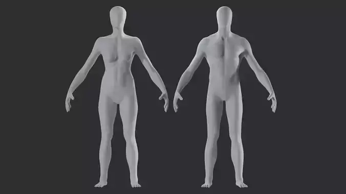 Basemesh Female Male 