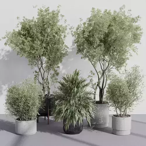 indoor plant set 387 plant tree palm bush concrete dirt vase Low-poly 3D model