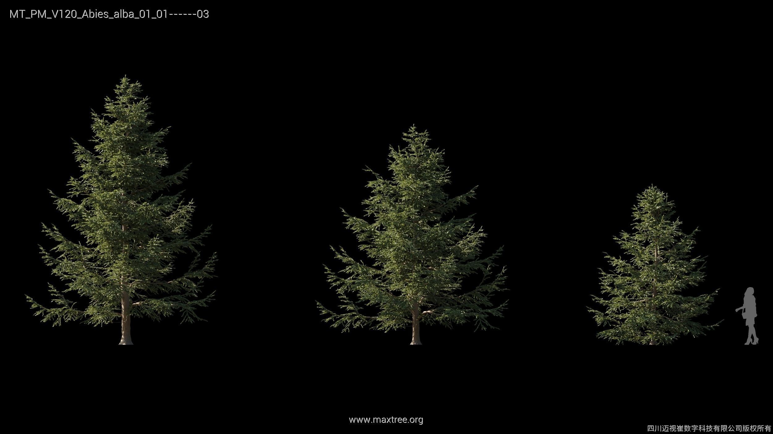 Maxtree Plant Models Vol 120 - Mesh 3D model_5