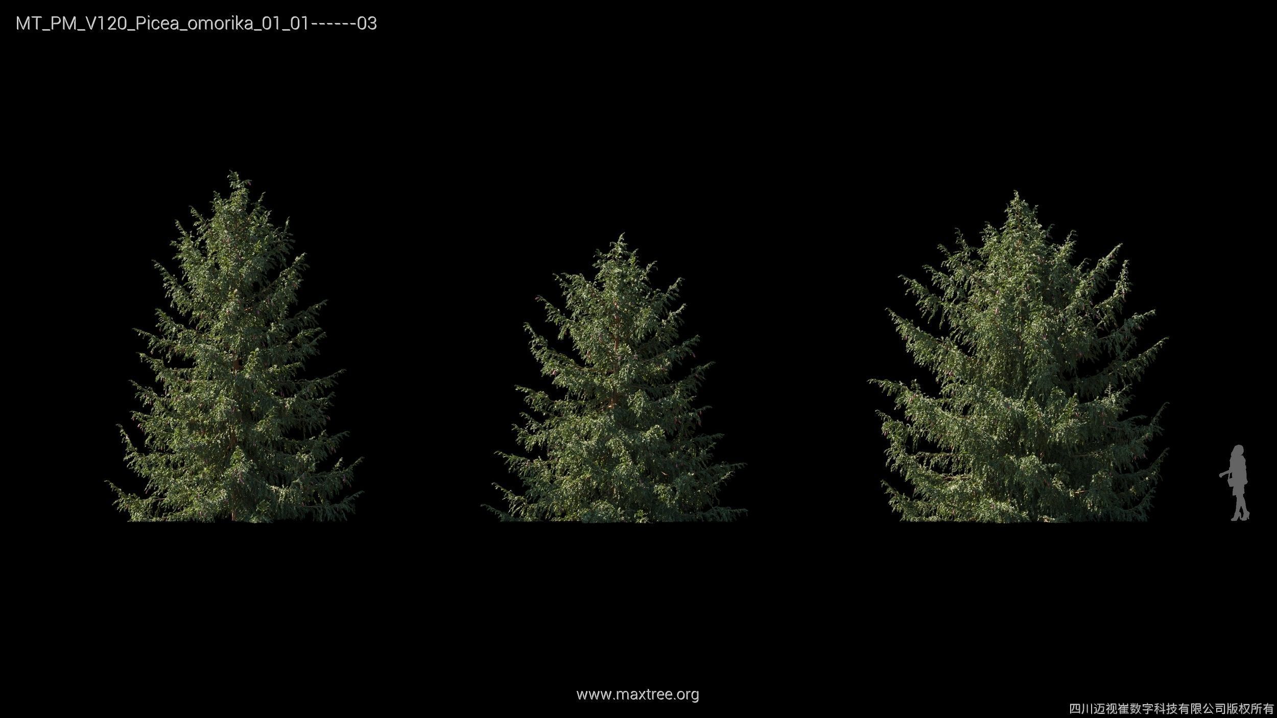 Maxtree Plant Models Vol 120 - Mesh 3D model_19