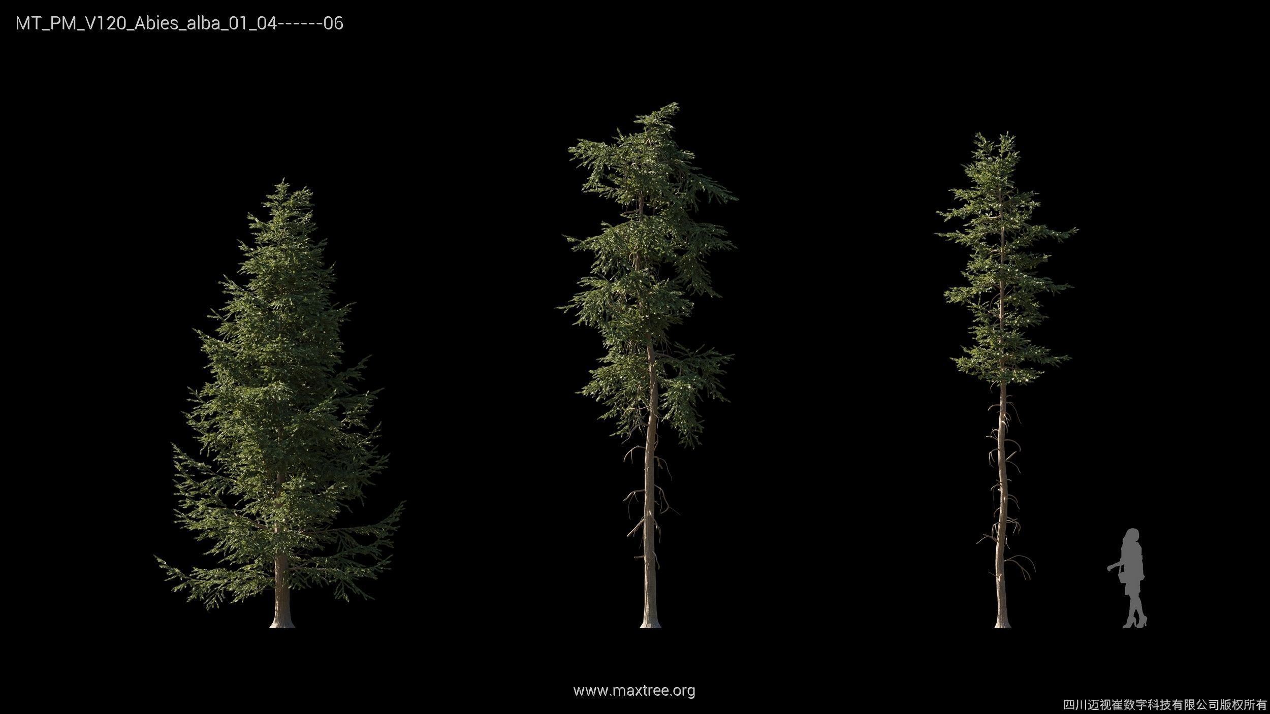 Maxtree Plant Models Vol 120 - Mesh 3D model_6