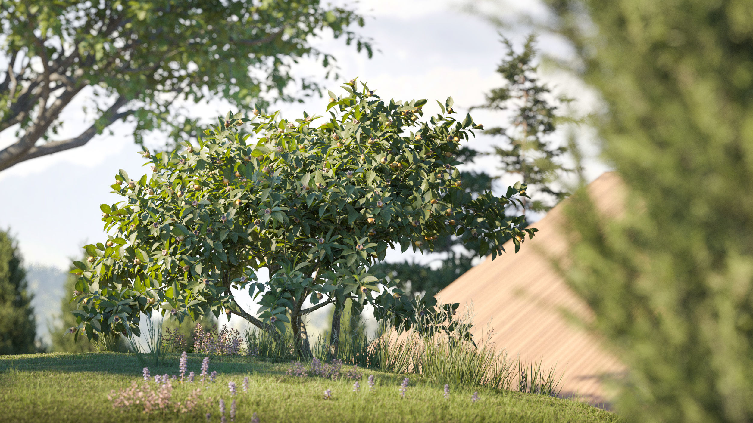 Maxtree Plant Models Vol 120 - Mesh 3D model_1