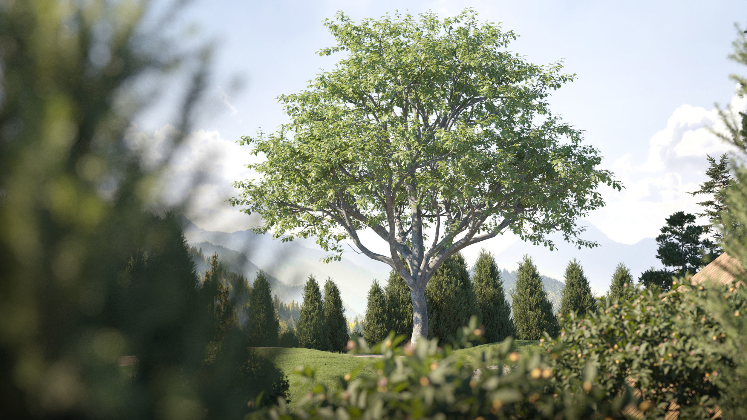 Maxtree Plant Models Vol 120 - Mesh 3D model_3