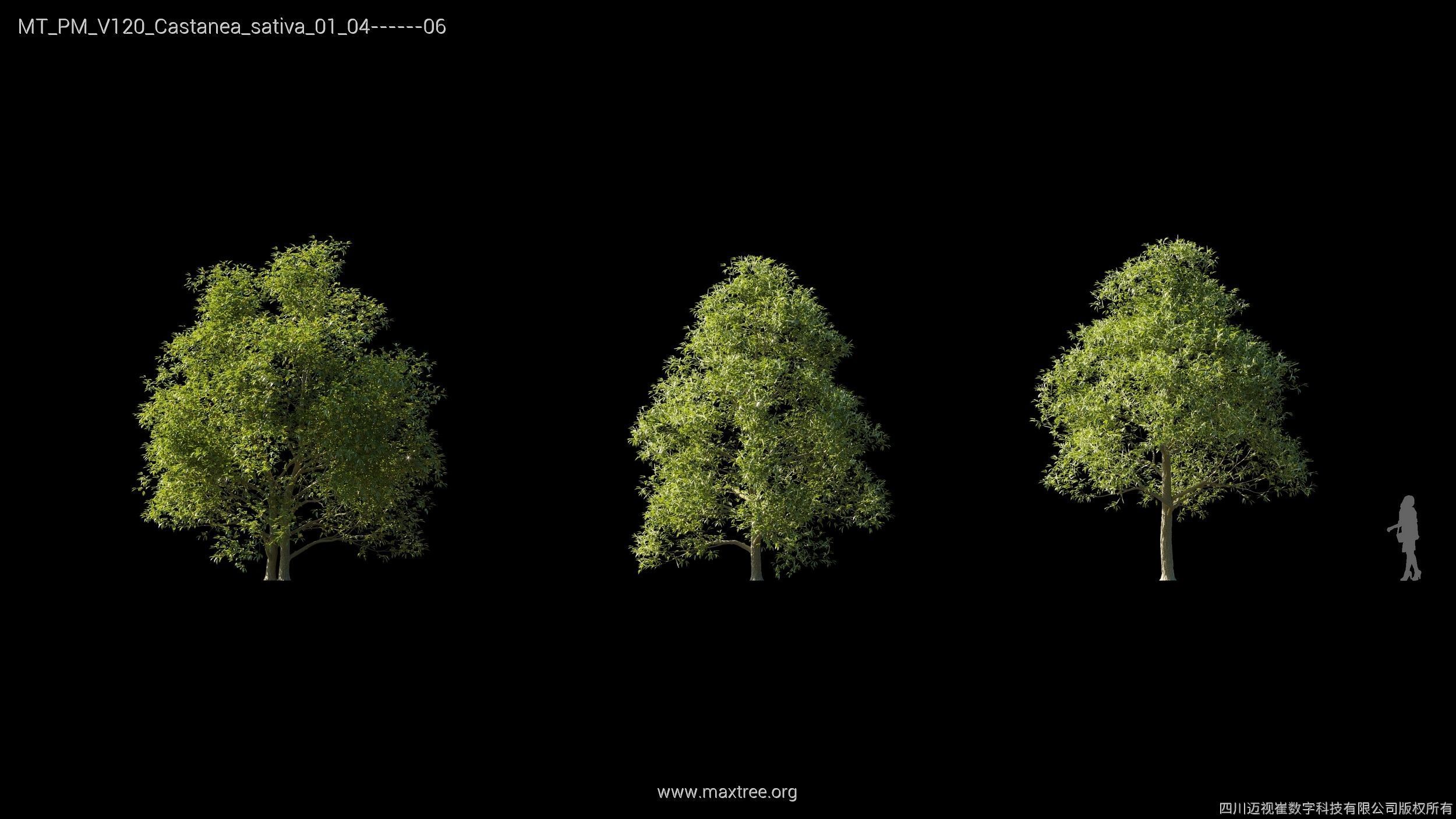 Maxtree Plant Models Vol 120 - Mesh 3D model_10