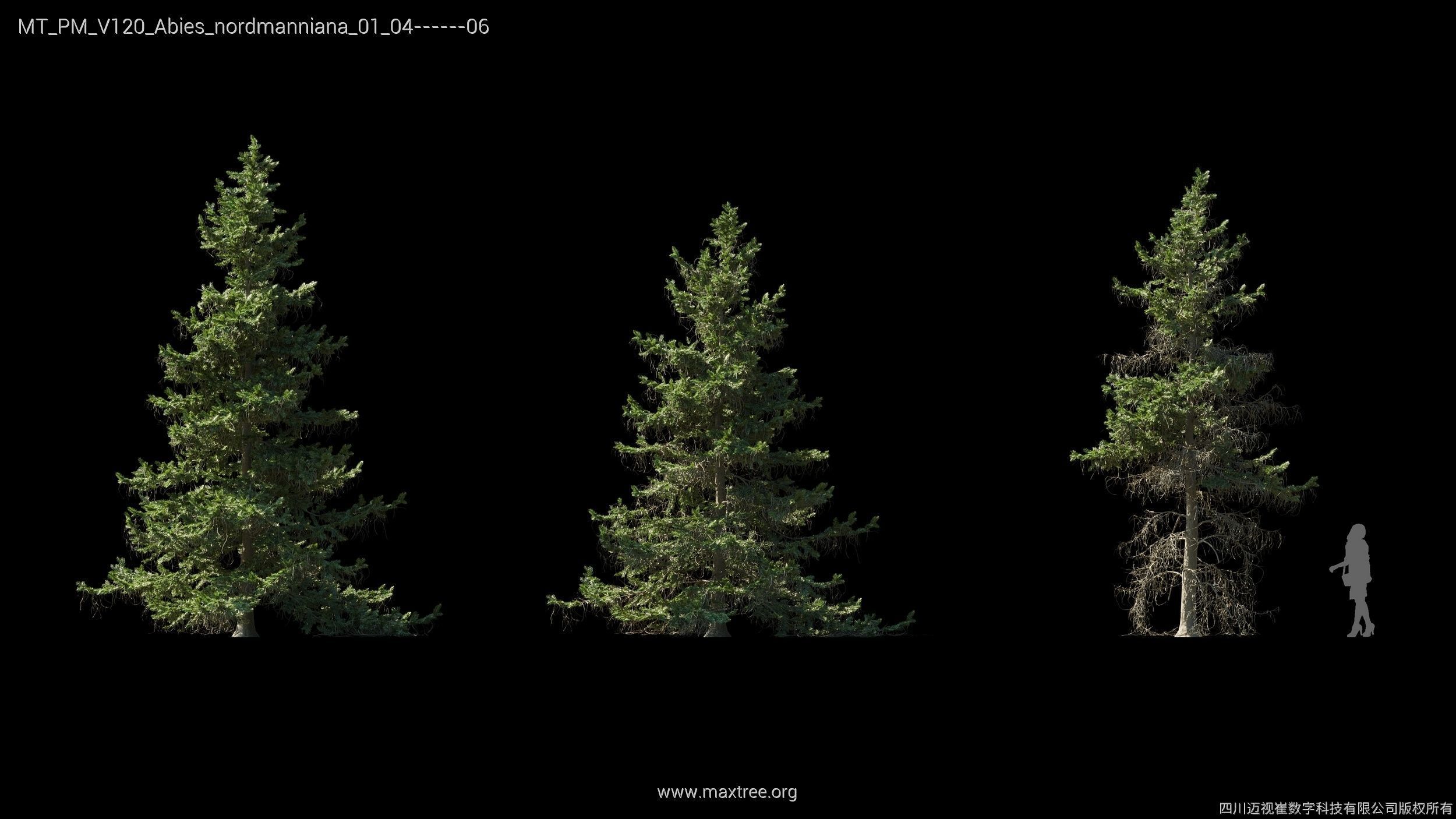 Maxtree Plant Models Vol 120 - Mesh 3D model_8