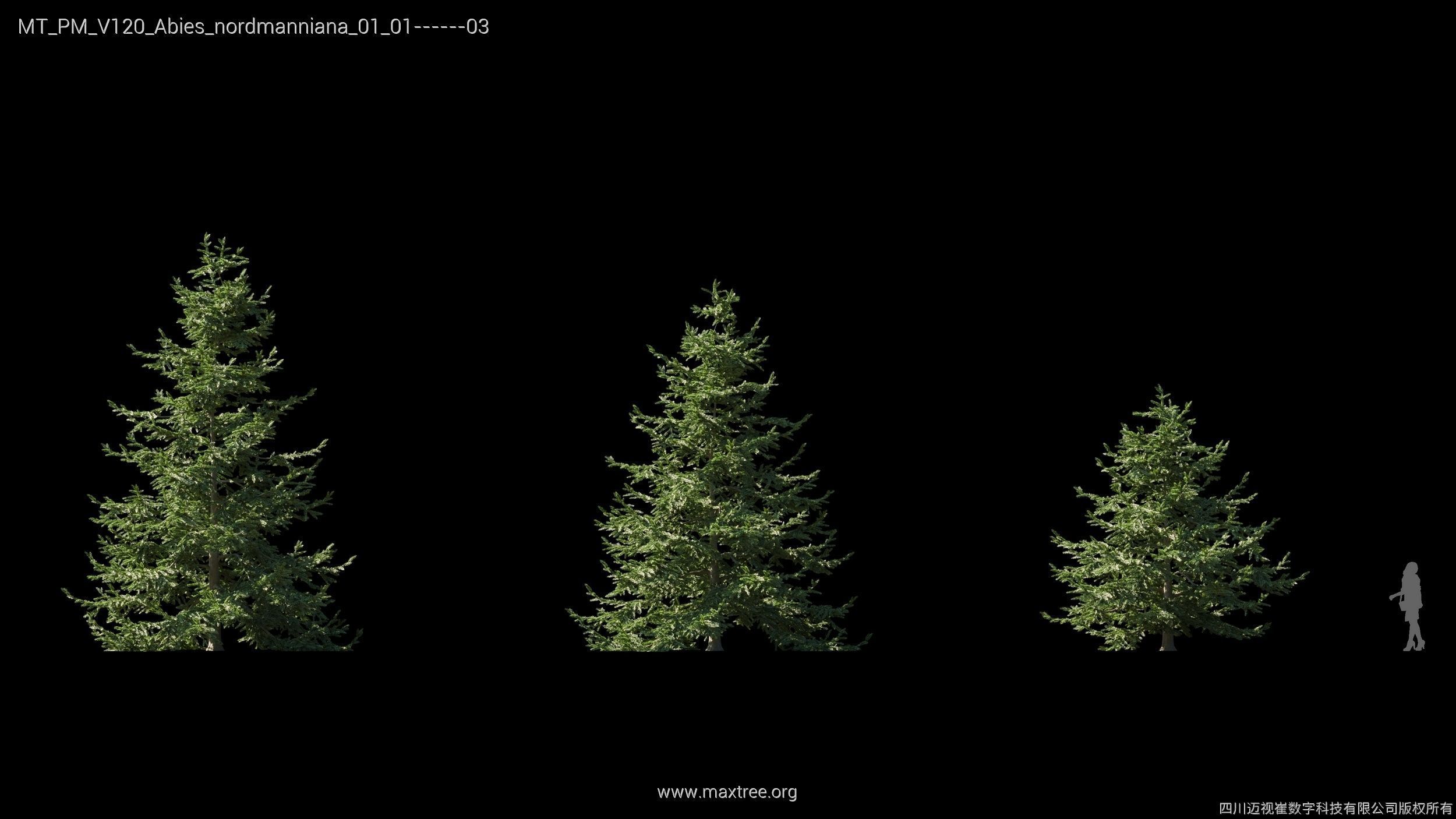 Maxtree Plant Models Vol 120 - Mesh 3D model_7
