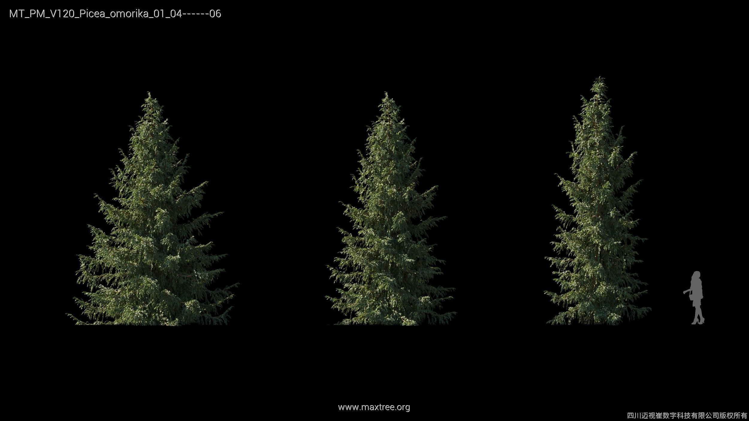 Maxtree Plant Models Vol 120 - Mesh 3D model_20