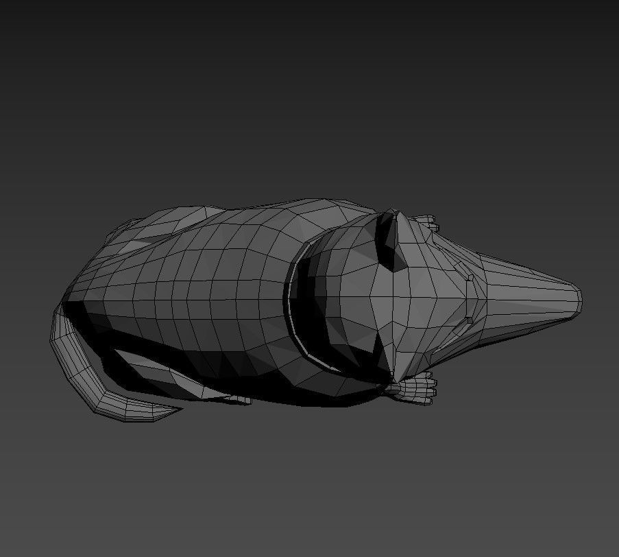 Norwegian Lundehund Dog 3d print model 3D print model_1