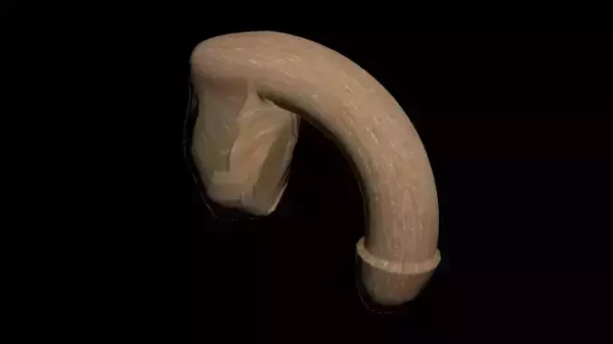 penis Free 3D model