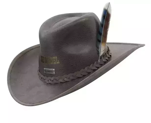 Cowboy Hat 3D model