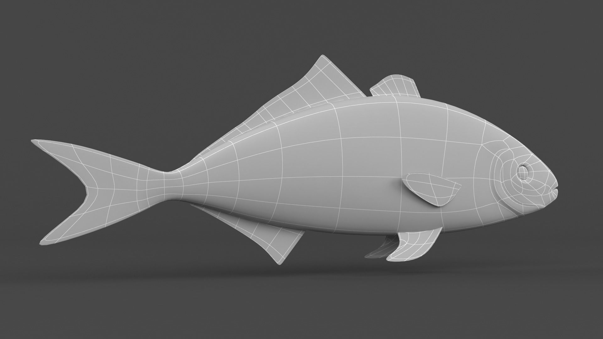 Fish Amberjack 3D model_8