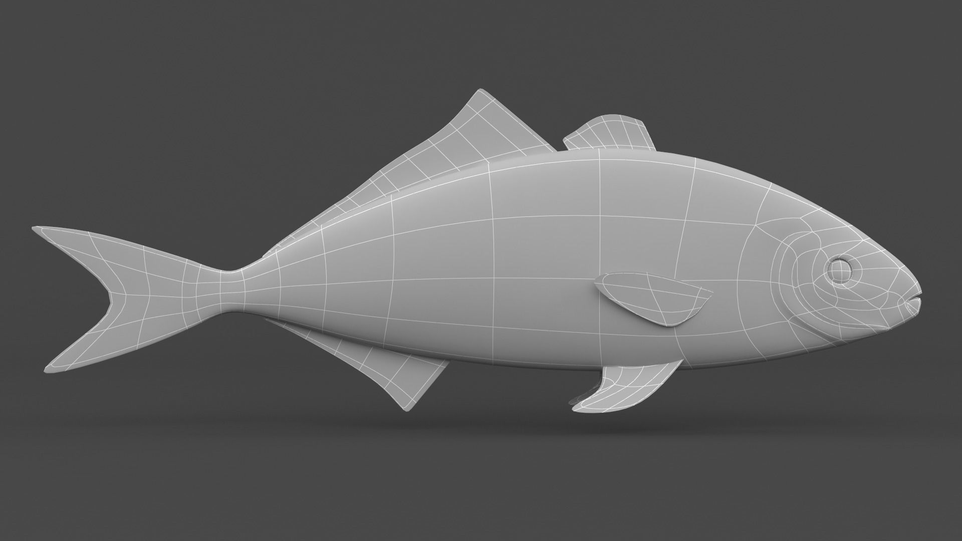 Fish Amberjack 3D model_5