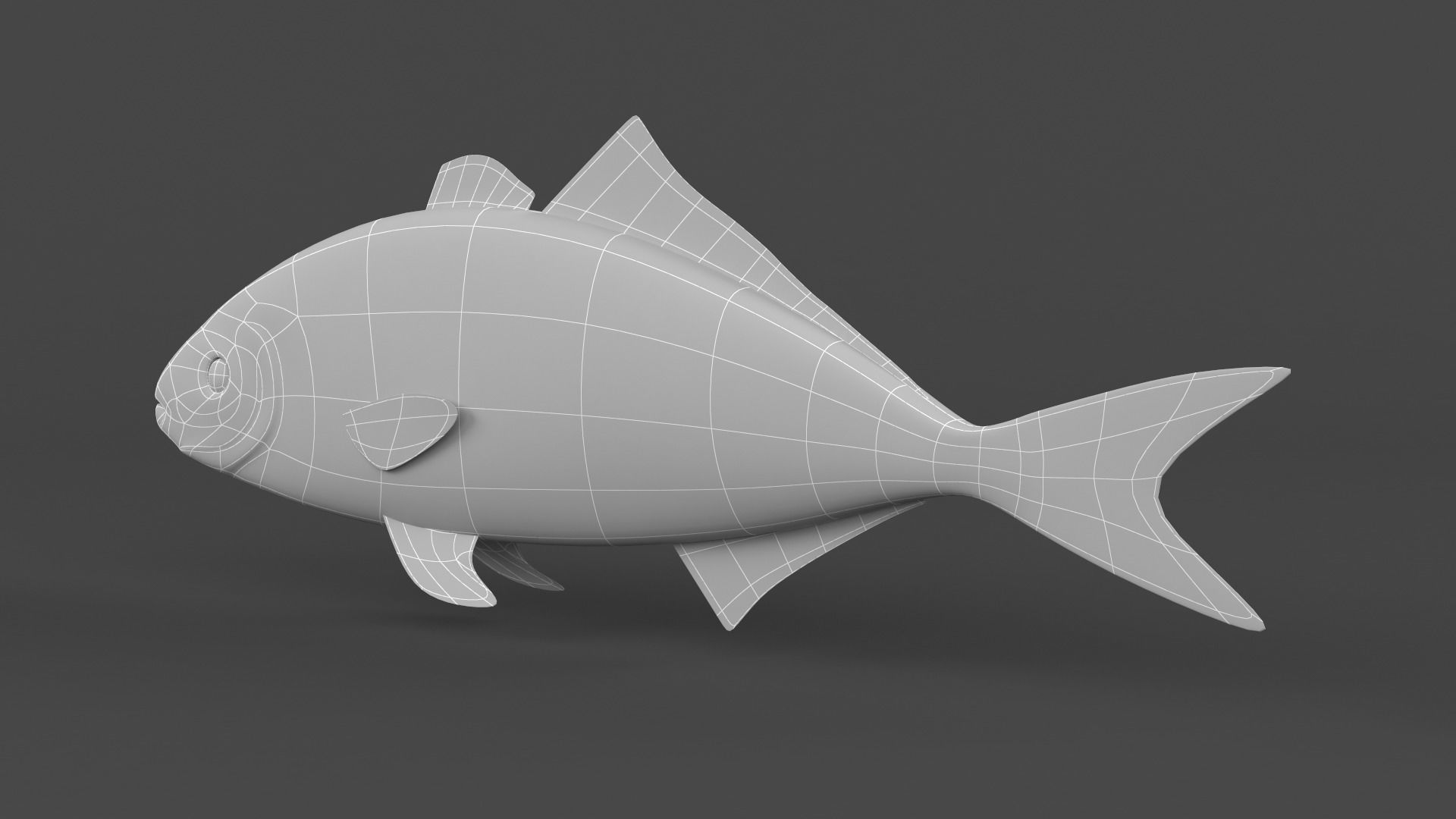 Fish Amberjack 3D model_7