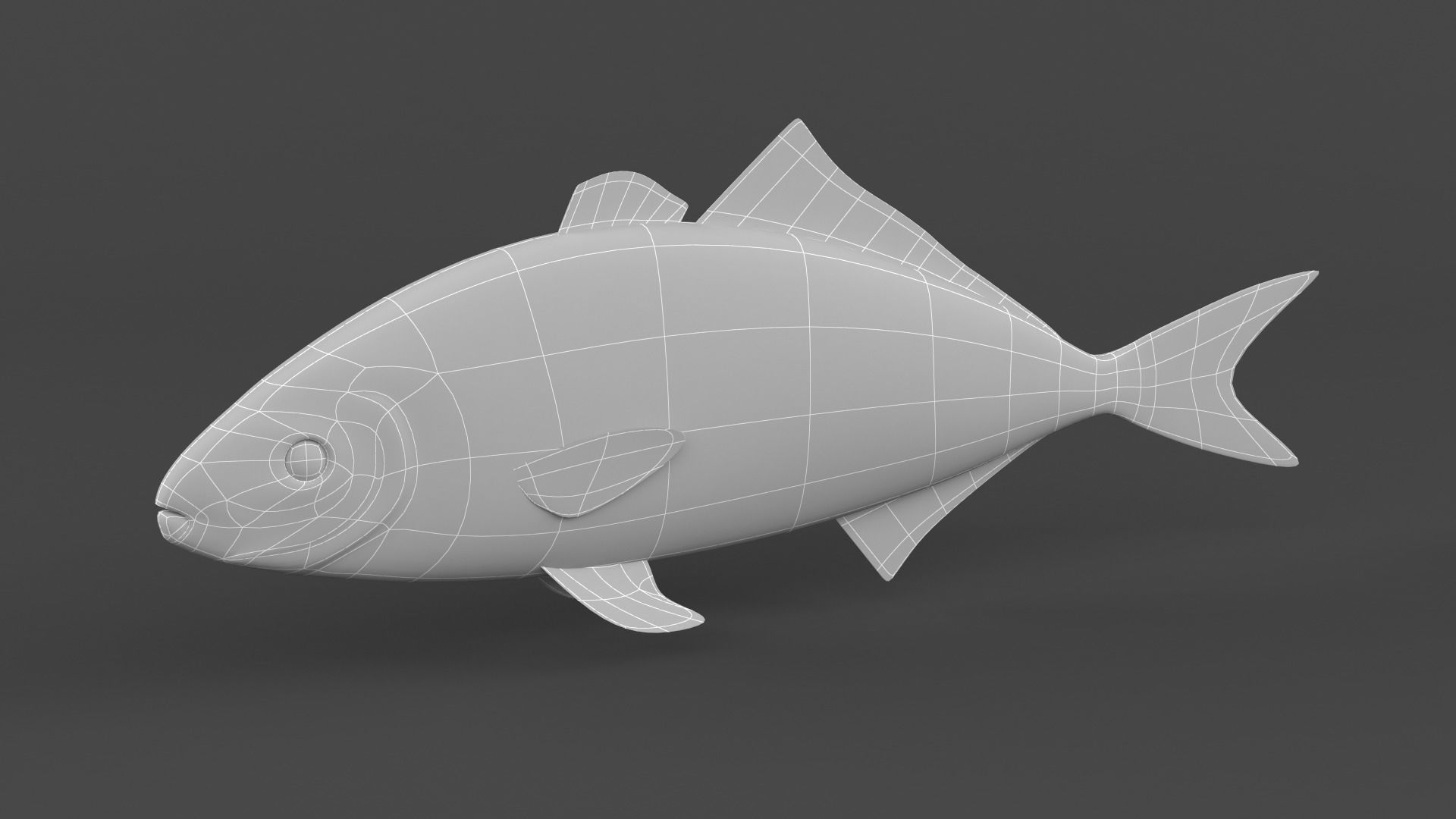 Fish Amberjack 3D model_9