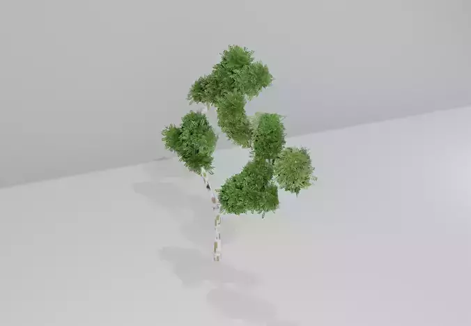 tree accessory