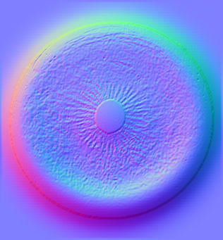 Realistic Scan Lion Low-poly 3D model_16