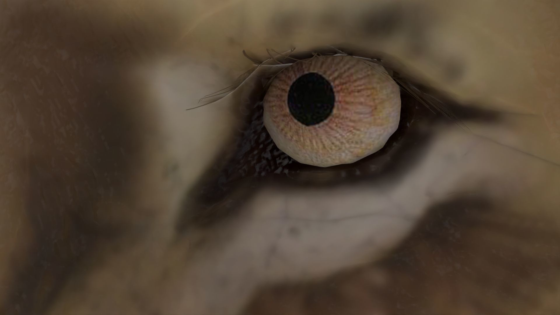 Realistic Scan Lion Low-poly 3D model_3