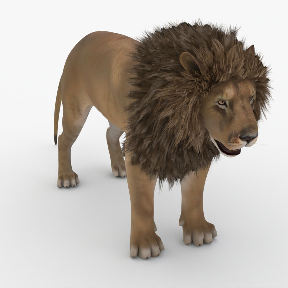 Realistic Scan Lion Low-poly 3D model_13
